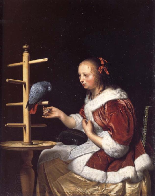 MIERIS, Frans van, the Elder A Woman in a Red Jacket Feeding a Parrot China oil painting art